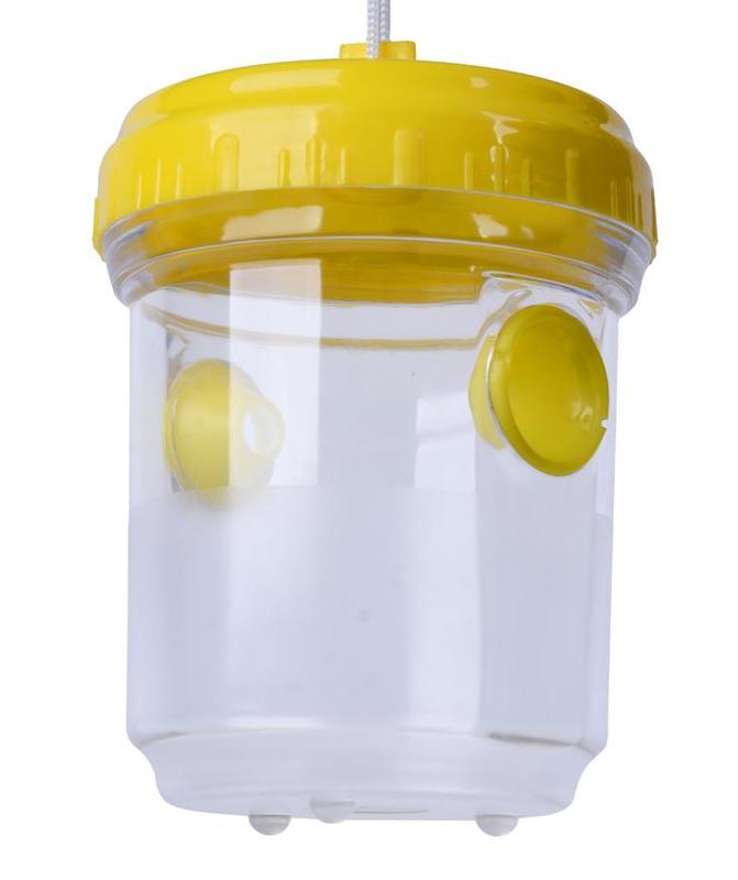 Pasce na hlodavce a hmyz