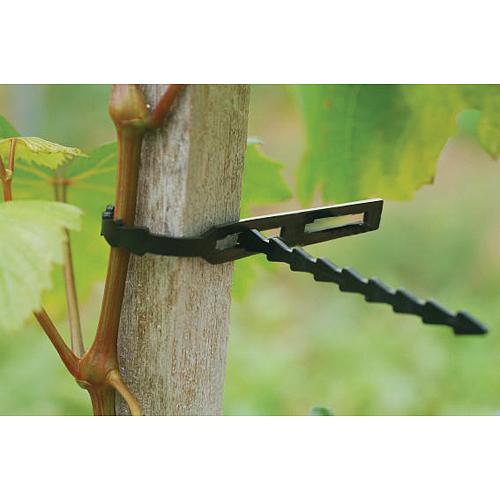 Páska Garden HG6171-C, 220 mm, 80 ks
