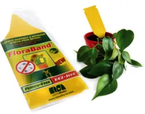 Lepové šípky žlté Floraband 5 ks