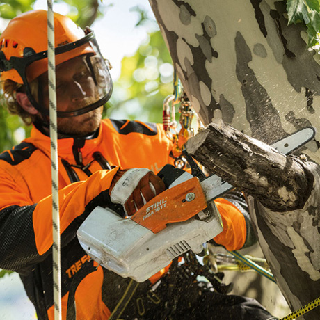 STIHL MSA 161 T, sólo verzia