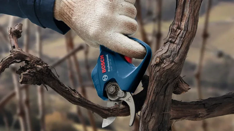 BOSCH GGP 12V-25, sólo verzia