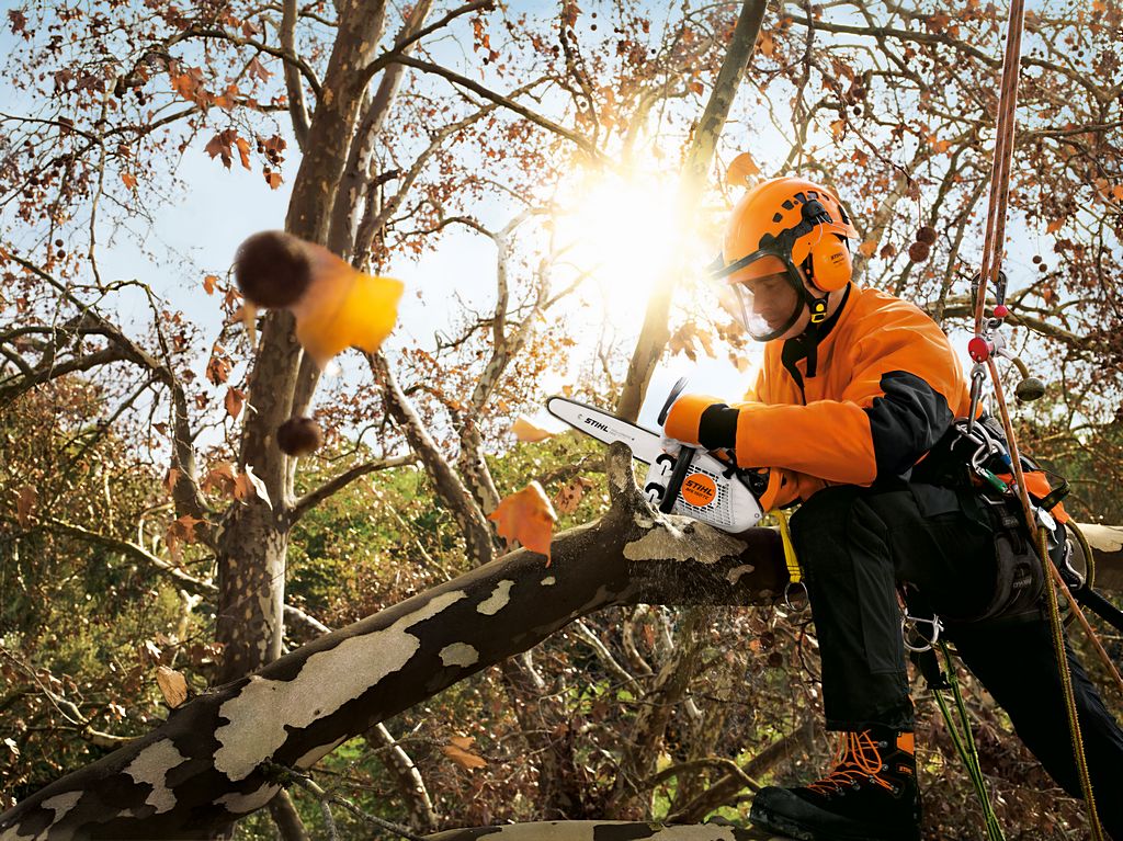 STIHL MS 151 TC-E