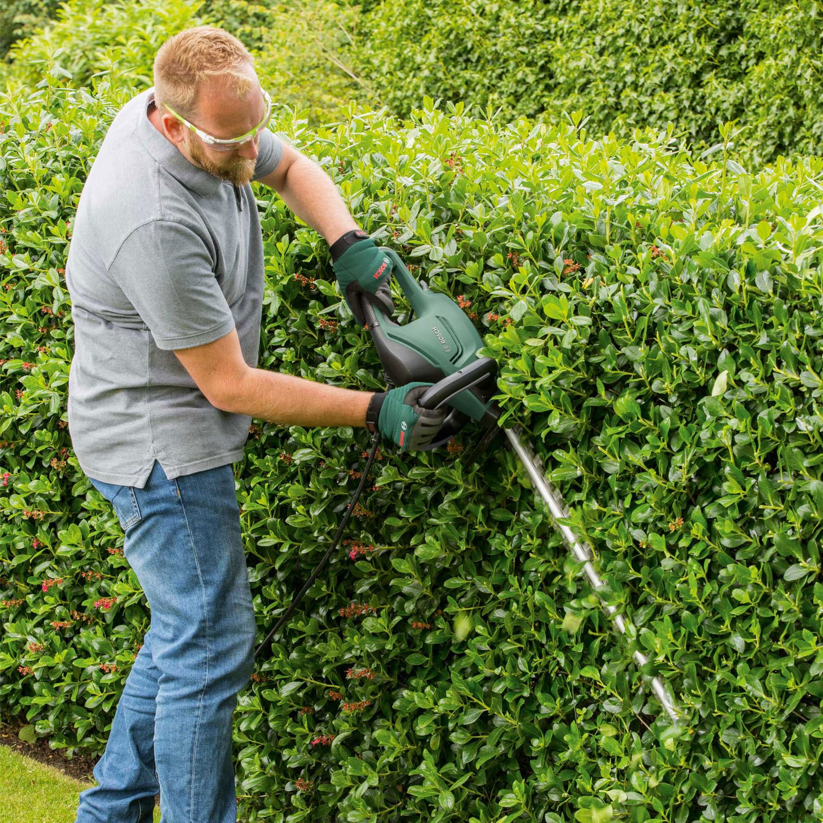 BOSCH UniversalHedgeCut 50