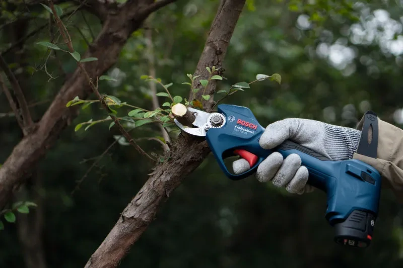BOSCH GGP 12V-25, sólo verzia