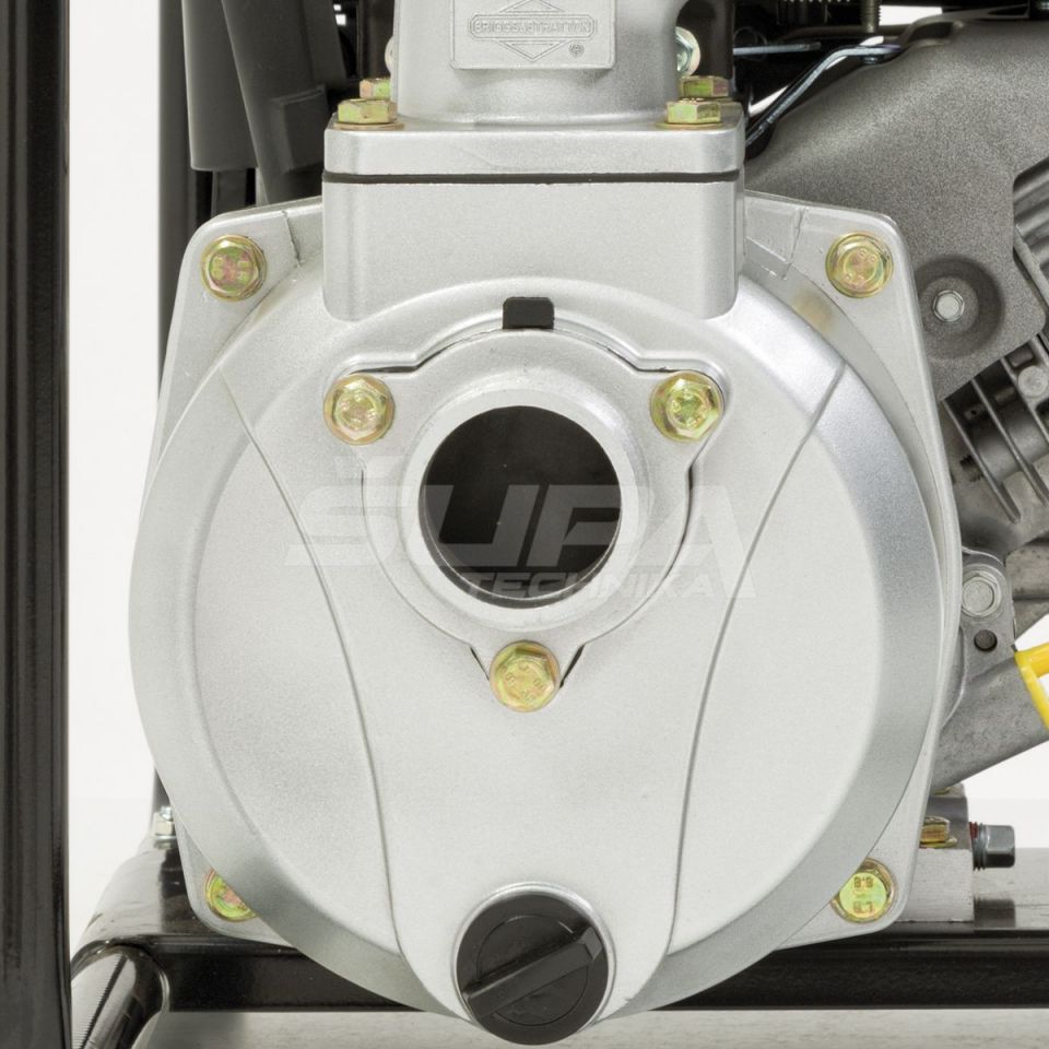 Briggs&Stratton WP 2-60