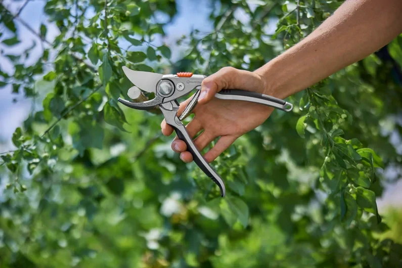Záhradné nožnice GARDENA Premium BP 50