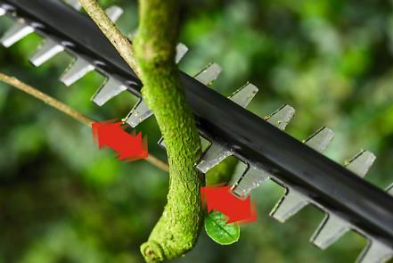 BOSCH UniversalHedgePole 18 0.600.8B3.000