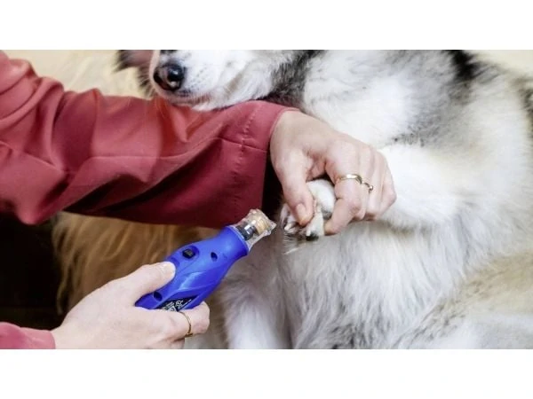 DREMEL 7350 PET F0137350PA