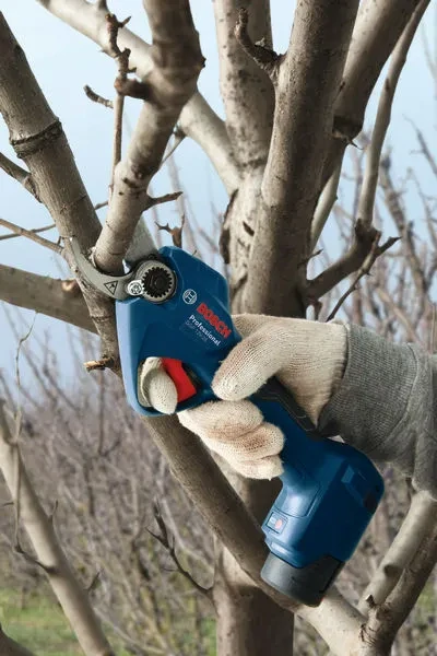 BOSCH GGP 12V-25, sólo verzia