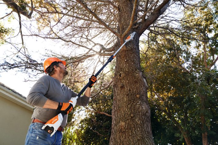 STIHL HTA 50, sólo verzia