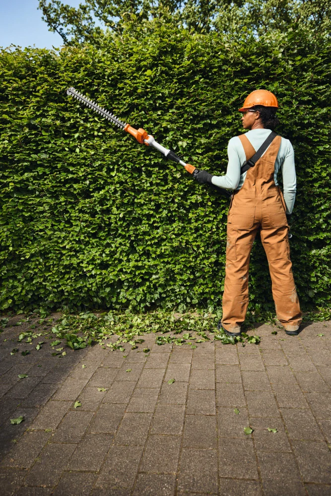 STIHL HLA 40, sólo verzia