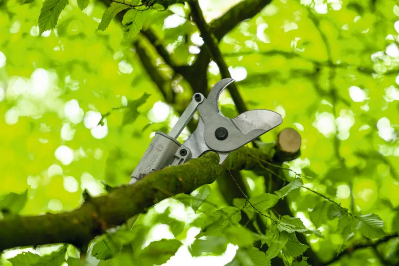 BOSCH PRO GGP 18V-45 EP sólo verzia