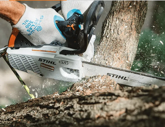 STIHL MS 151 TC-E