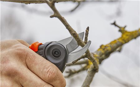 GARDENA ExpertCut 12203-20