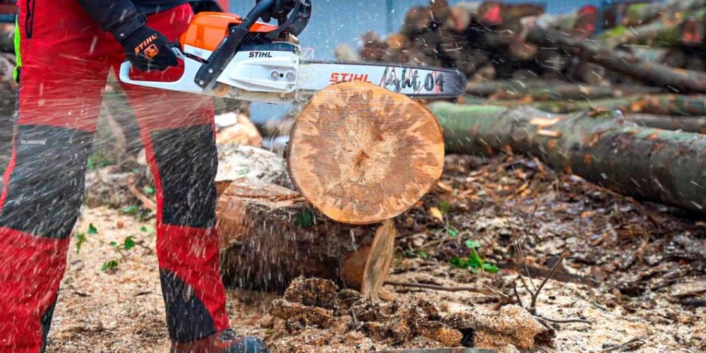 STIHL Light 04 (Rollomatic E) 45cm, 3/8", 1,6mm 3003 008 7717