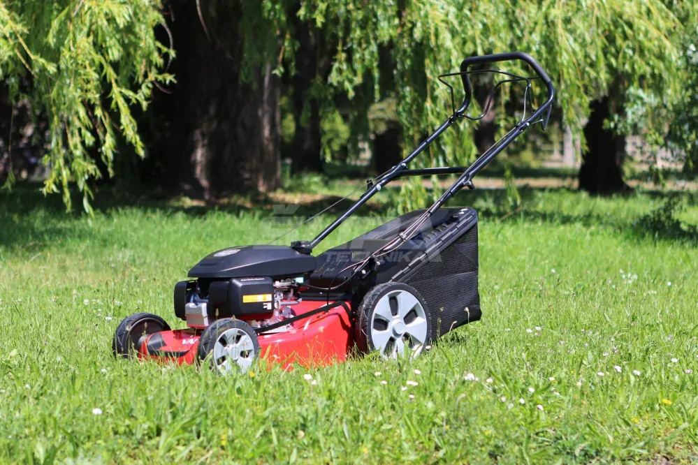 VARI VARI CP1 484 WSQ - H