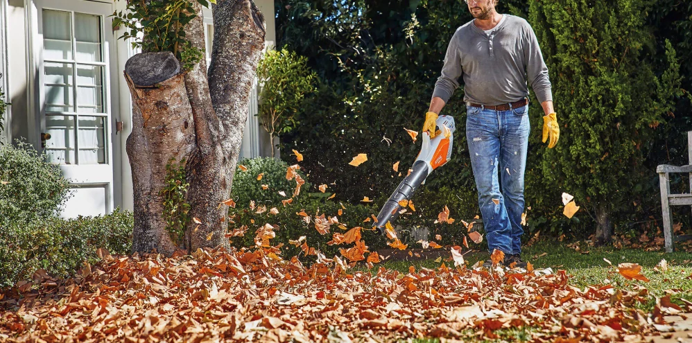 STIHL SHA 56, set 1xAK20 + 1xAL101