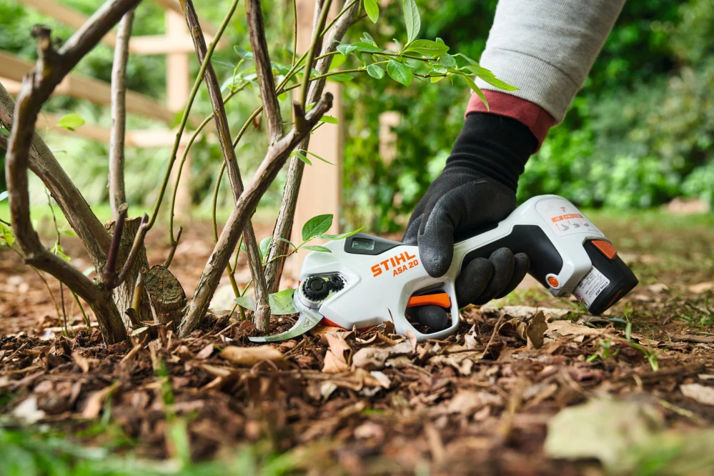 STIHL ASA 20, sólo verzia