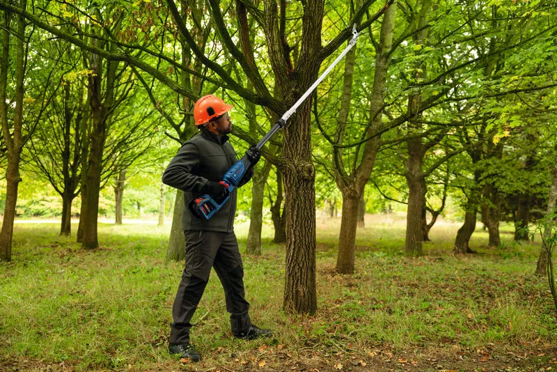 BOSCH PRO GGP 18V-45 EP sólo verzia