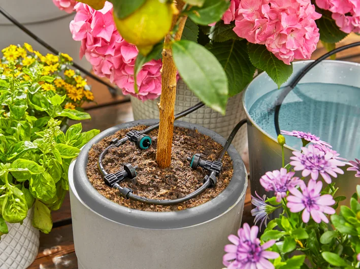 Solárne zavlažovanie GARDENA AquaBloom - súprava